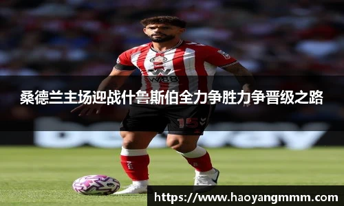 桑德兰主场迎战什鲁斯伯全力争胜力争晋级之路