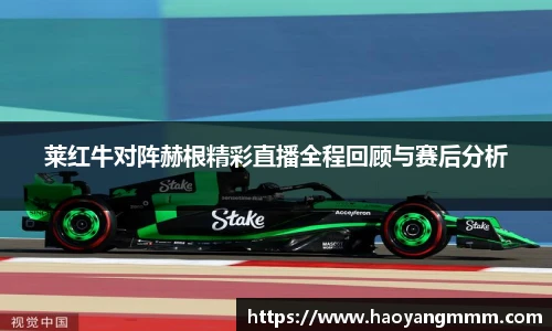 莱红牛对阵赫根精彩直播全程回顾与赛后分析